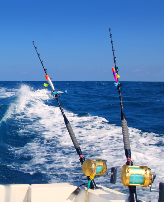 ESPERIENZA DI PESCA TURISTICA IN PESCHERECCIO (prezzo a persona)